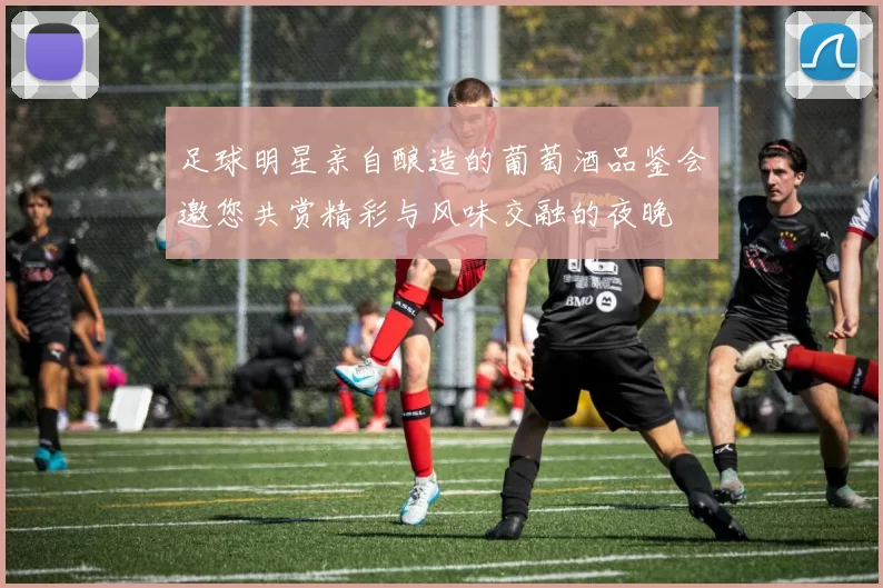 足球明星亲自酿造的葡萄酒品鉴会邀您共赏精彩与风味交融的夜晚