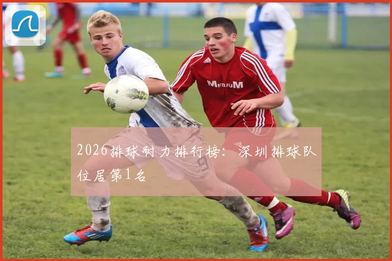 2026排球耐力排行榜：深圳排球队位居第1名