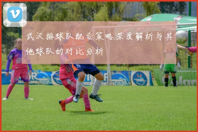 武汉排球队配合策略深度解析与其他球队的对比分析