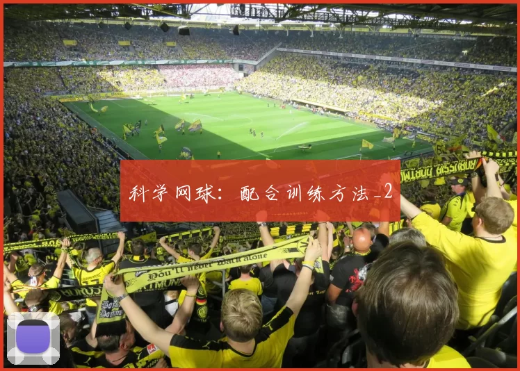 科学网球：配合训练方法_2