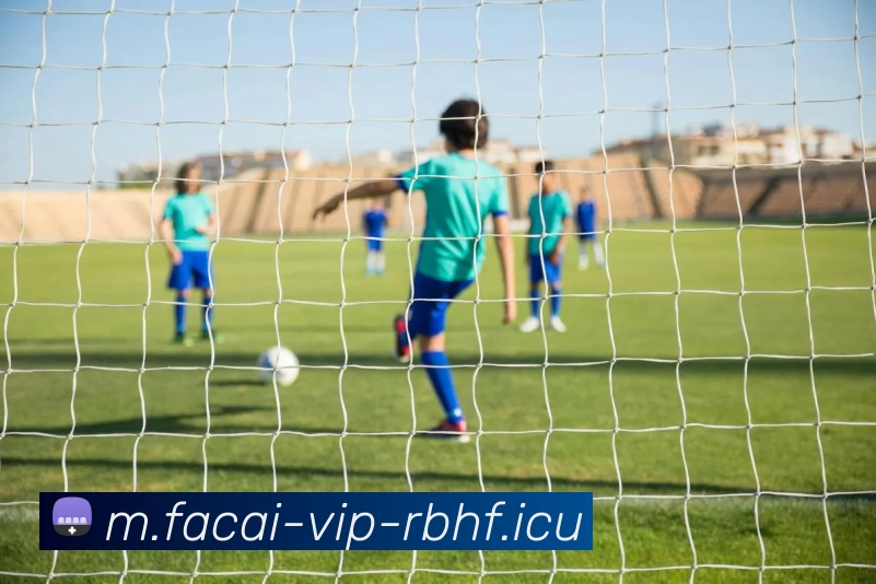 多媒体互动体验